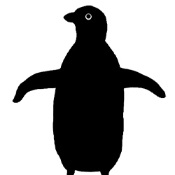 夜行性ペンギン